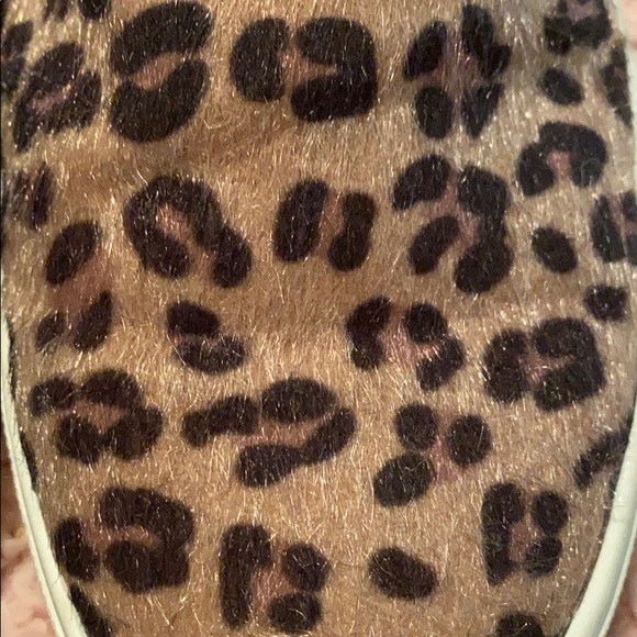 American Eagle Leopard Shoe - Picture 8 of 8